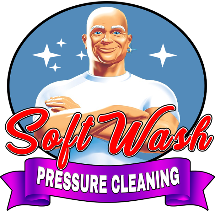 Mr. Clean Pressure Softwash (Welcome)